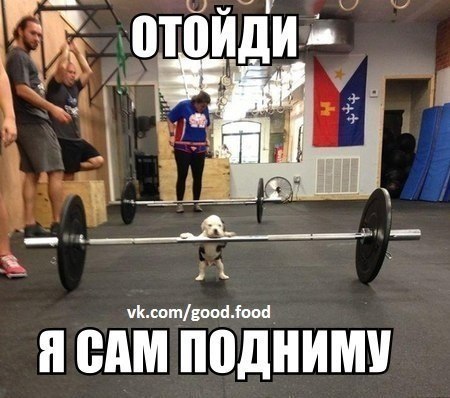 S1yXq4akRvU.jpg