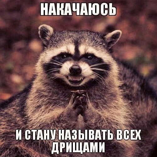 NjbC0tXrQqM.jpg