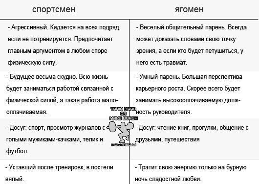 wFxUcrgMmr0.jpg