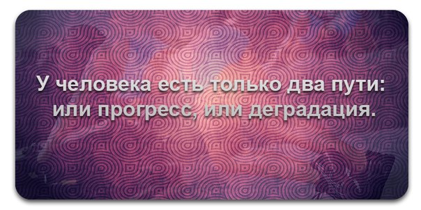 DKOQMvb35h4.jpg