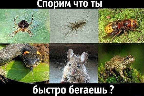 BatFGNsDzMU.jpg