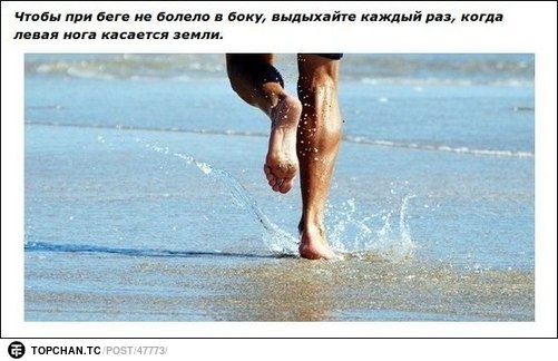 wjeczVTwLIk.jpg