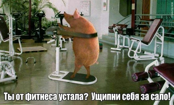 qd3ovm5Mg6U.jpg