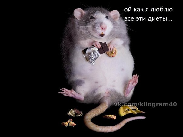A3K_t47qFGI.jpg