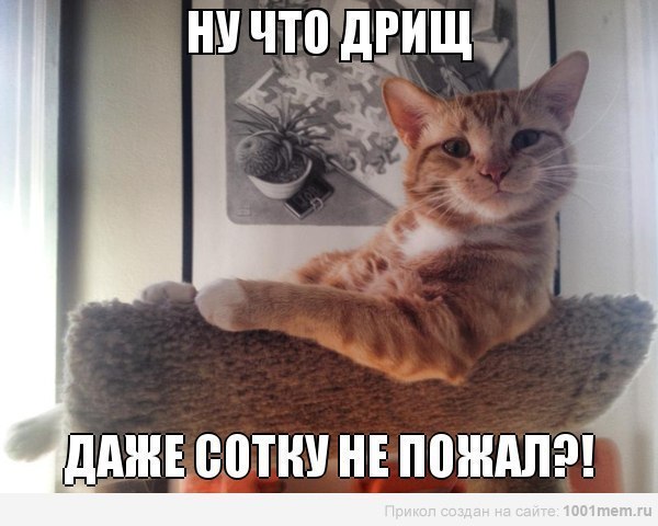 dNG_fG0NV5w.jpg