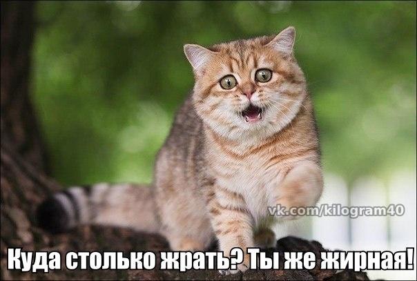 aYWh6DyREKQ.jpg