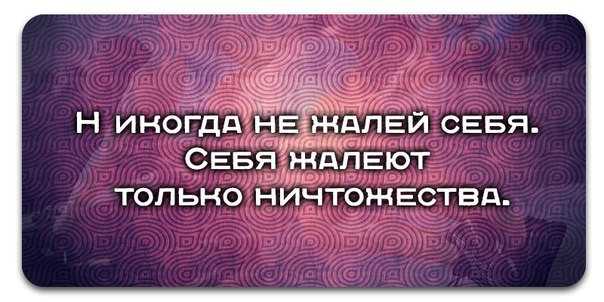 xHs85ZaT_nI.jpg
