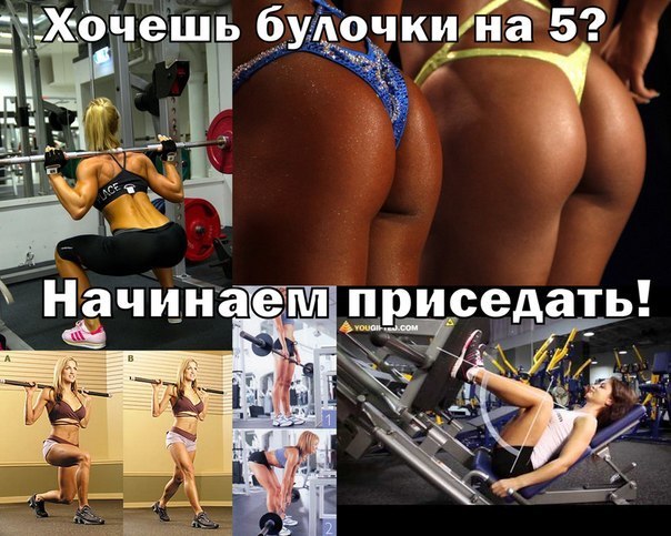 amnd8-dZWU0.jpg