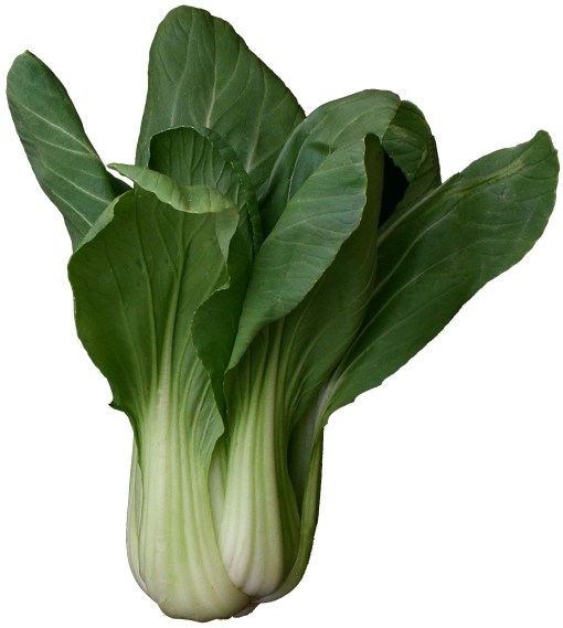 pak-choy.jpg