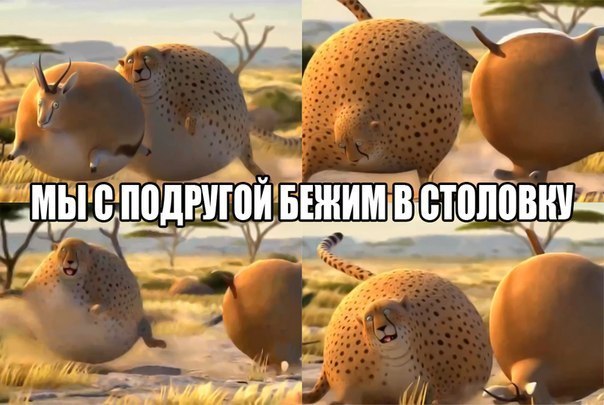 HM2NUJVEByQ.jpg