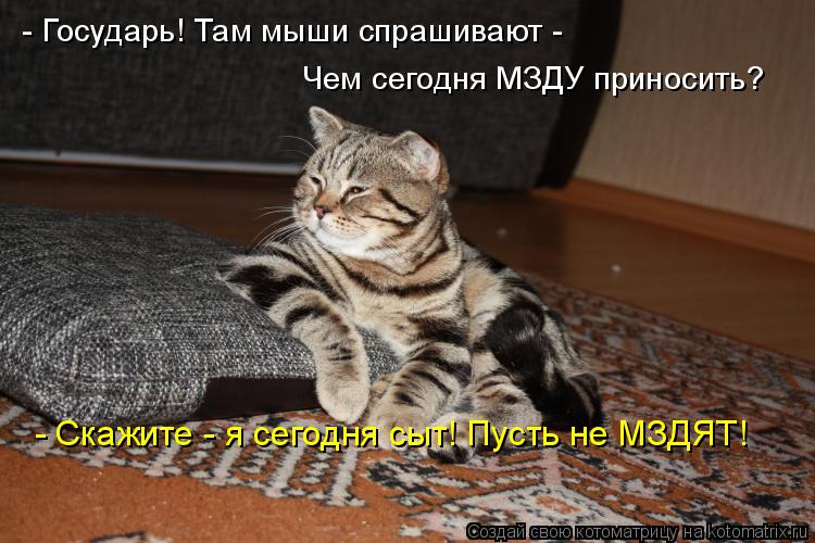 789550.jpg