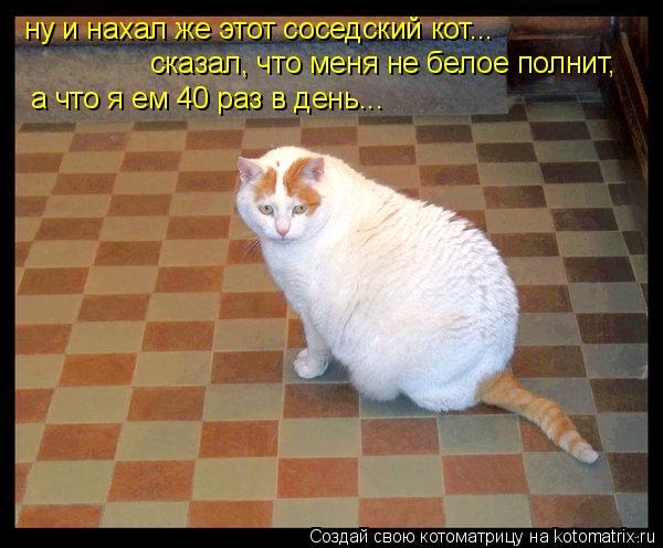 8649.jpeg