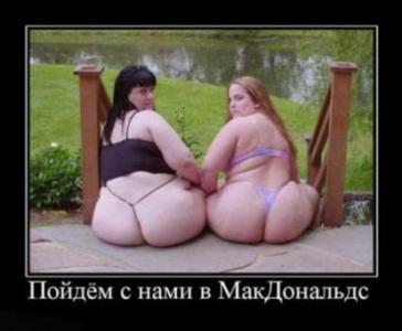 1t4_2168860.jpg