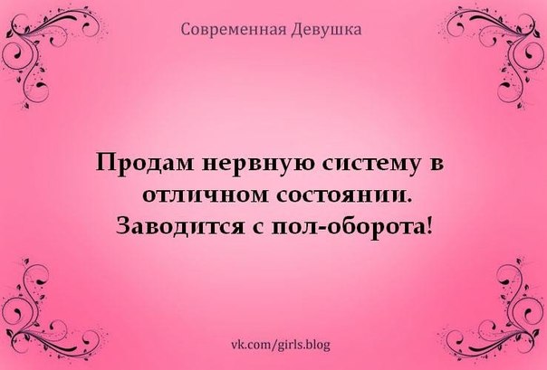 wHp9dsfrHA8.jpg