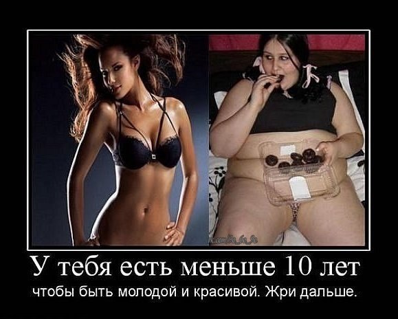 N2qtgvaKs7k.jpg