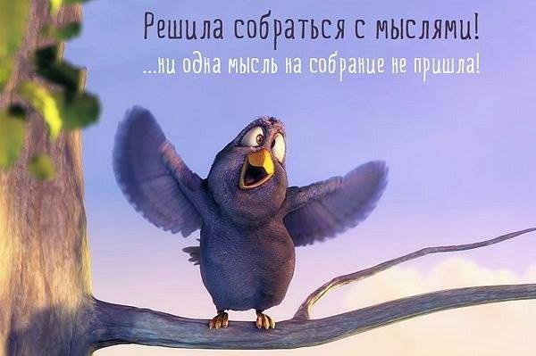 о мыслях.jpg