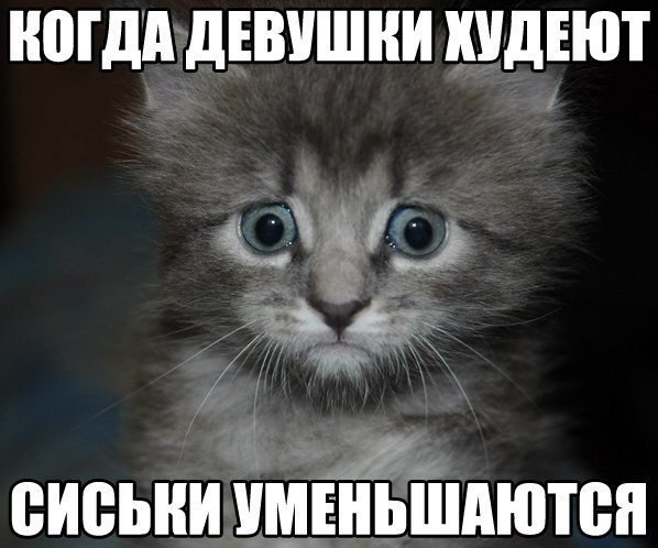 QvCjhpmccjo.jpg