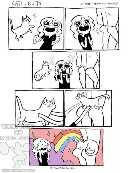 X9Wk4StoMeM.jpg