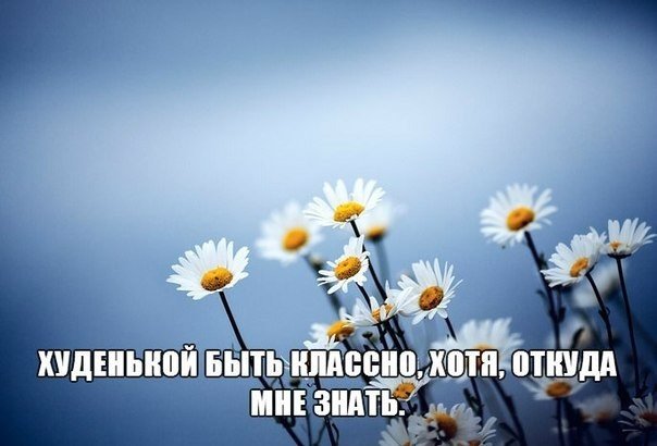 6-XRNnjvIew.jpg