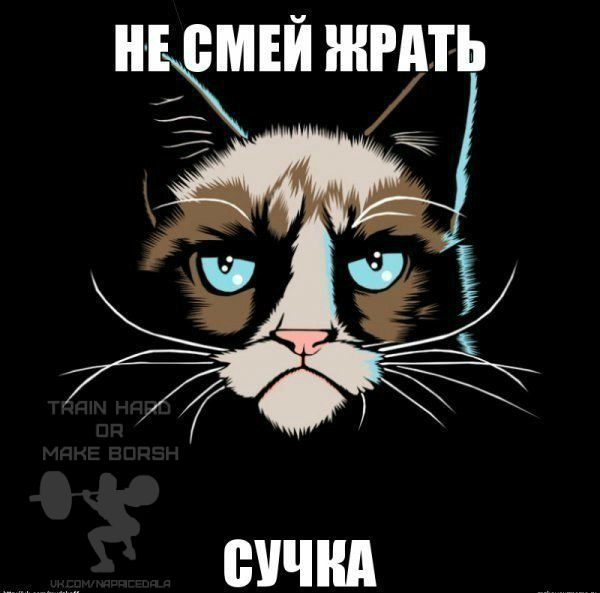 UzocAv94kNE.jpg