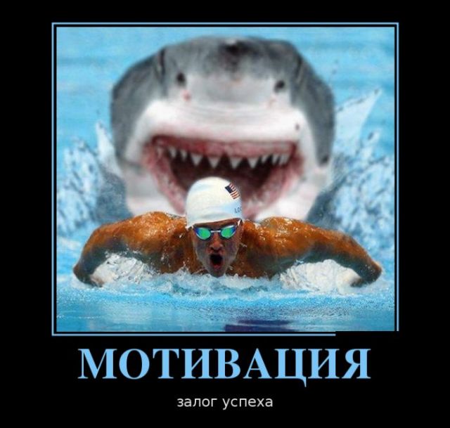М.jpg