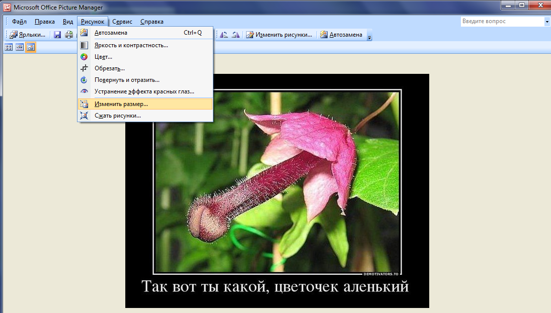Безымянныйшртрприррир.png
