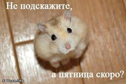 1381829_632491263469630_1943013292_n.jpg