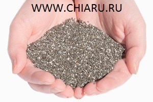 Chiaru web nic 2.jpg