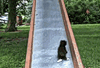 0_4ae38_cd9cdd6d_XS.gif