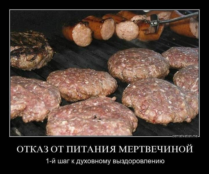отказ ри мертвичины.jpg