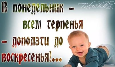 понедельник.jpg