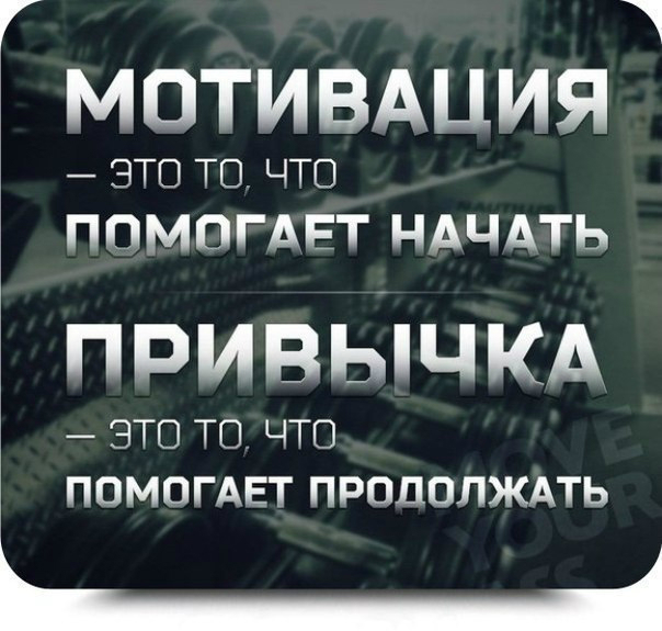 cf275c0c3268cb3b9f202545cbd505b7.jpg