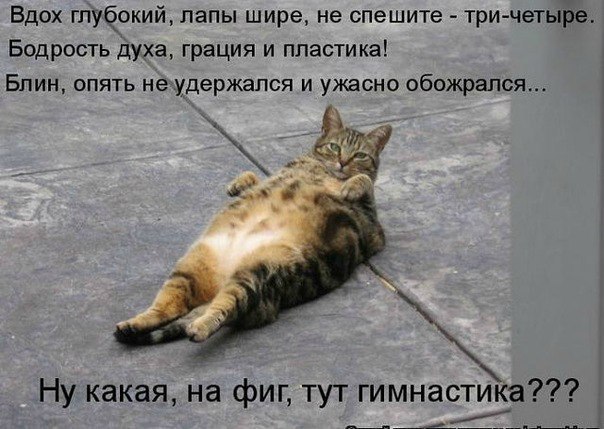 EeA7goZtBko.jpg