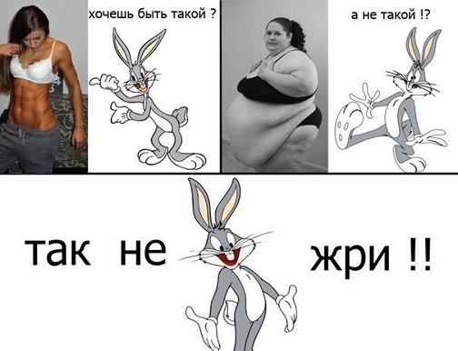 _xcRp4wCgSw.jpg