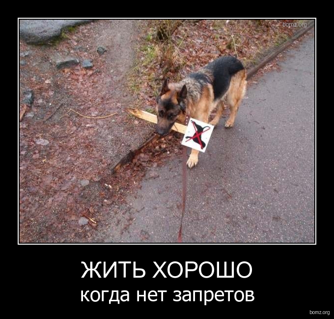 360494-2011.02.05-03.30.18-bomz.org-demotivator_jit_horosho_kogda_net_zapretov.jpg