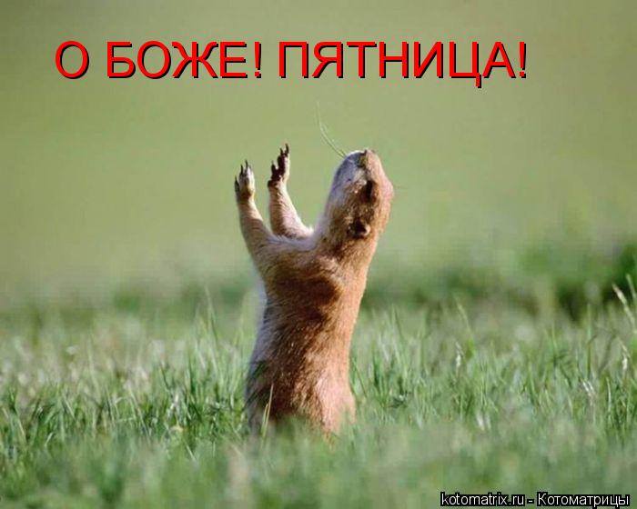 пятн.jpg