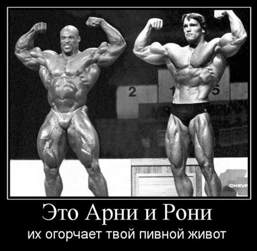 img_item_504.jpg
