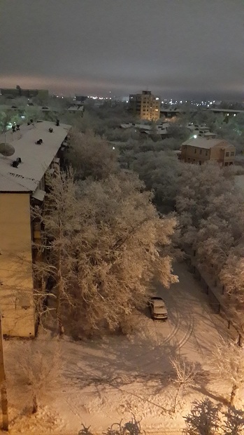 20131120_020930.jpg