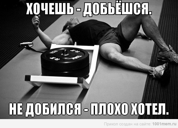 ojSApU8Ryw0.jpg