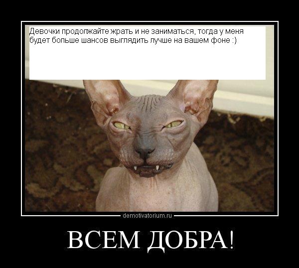 000а.JPG