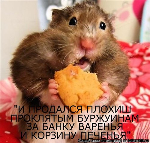 i.jpg