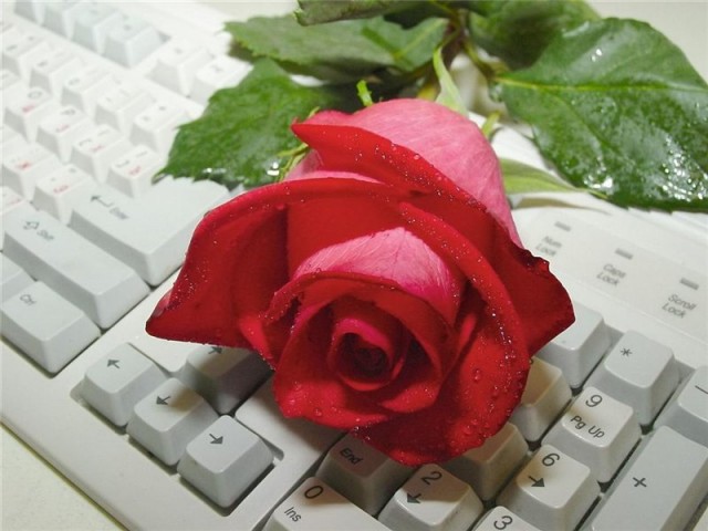 1154888_640.jpg