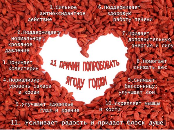 годжи_enl.jpg