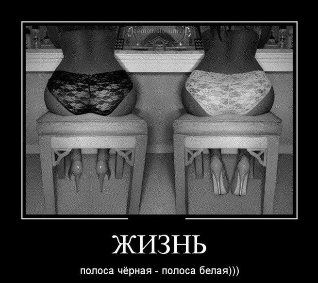 1343689776_6777.jpg