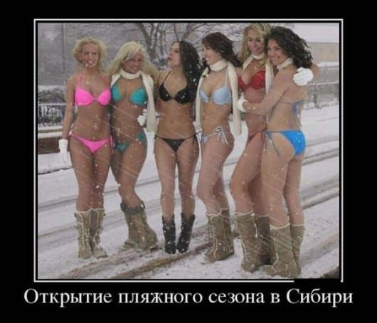 Stimka_ru_1354804152_lhg5kjvfvtn4uedk.jpg