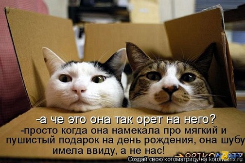 1302112145_kotomatrix_42.jpg