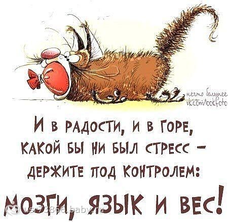 101598578.148571877.jpeg