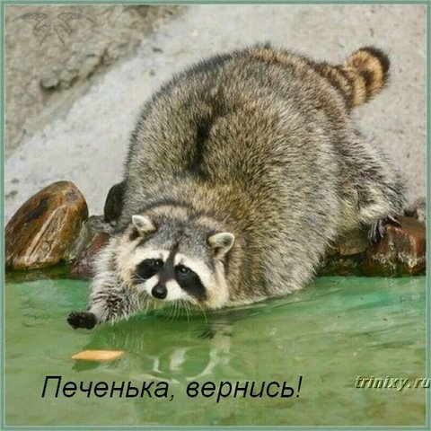 dc51d9e530d4083d1d8cd3262ee6d50d604a0733.jpg
