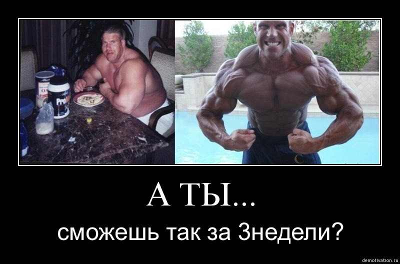 motivatory-bodibilding_1.jpg