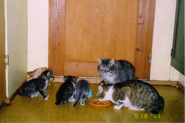 May07#01.JPG
